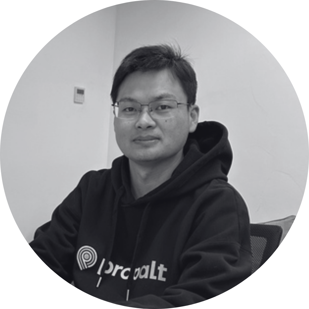 Propalt team